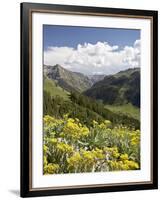 Wildflowers and Mountains Near Cinnamon Pass, Uncompahgre National Forest, Colorado-James Hager-Framed Photographic Print