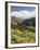 Wildflowers and Mountains Near Cinnamon Pass, Uncompahgre National Forest, Colorado-James Hager-Framed Photographic Print