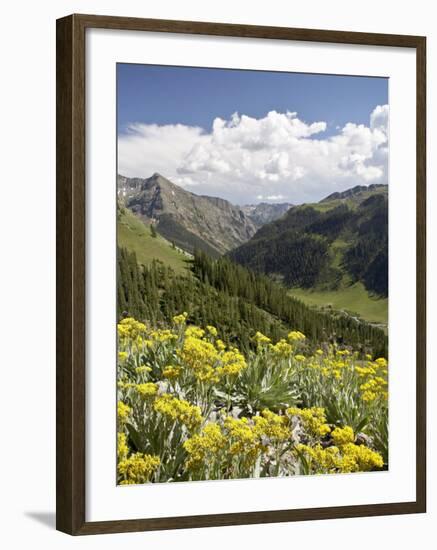 Wildflowers and Mountains Near Cinnamon Pass, Uncompahgre National Forest, Colorado-James Hager-Framed Photographic Print