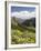 Wildflowers and Mountains Near Cinnamon Pass, Uncompahgre National Forest, Colorado-James Hager-Framed Photographic Print