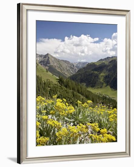 Wildflowers and Mountains Near Cinnamon Pass, Uncompahgre National Forest, Colorado-James Hager-Framed Photographic Print