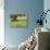 Wildflowers and Olive Tree, Near Halawa, Jordan, Middle East-Schlenker Jochen-Photographic Print displayed on a wall