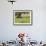 Wildflowers and Olive Tree, Near Halawa, Jordan, Middle East-Schlenker Jochen-Framed Photographic Print displayed on a wall