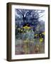 Wildflowers and Sage, Eastern Washington, USA-William Sutton-Framed Photographic Print