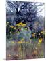 Wildflowers and Sage, Eastern Washington, USA-William Sutton-Mounted Photographic Print