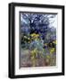 Wildflowers and Sage, Eastern Washington, USA-William Sutton-Framed Photographic Print