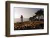 Wildflowers and The Lighthouse-George Oze-Framed Photographic Print