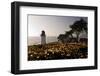 Wildflowers and The Lighthouse-George Oze-Framed Photographic Print