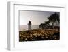 Wildflowers and The Lighthouse-George Oze-Framed Photographic Print