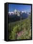 Wildflowers and Valley of 10 Peaks, Banff National Park, Alberta, Canada-Michele Falzone-Framed Stretched Canvas