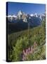 Wildflowers and Valley of 10 Peaks, Banff National Park, Alberta, Canada-Michele Falzone-Stretched Canvas