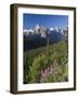 Wildflowers and Valley of 10 Peaks, Banff National Park, Alberta, Canada-Michele Falzone-Framed Photographic Print