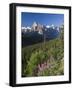 Wildflowers and Valley of 10 Peaks, Banff National Park, Alberta, Canada-Michele Falzone-Framed Photographic Print