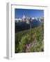 Wildflowers and Valley of 10 Peaks, Banff National Park, Alberta, Canada-Michele Falzone-Framed Photographic Print