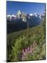 Wildflowers and Valley of 10 Peaks, Banff National Park, Alberta, Canada-Michele Falzone-Mounted Photographic Print