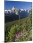 Wildflowers and Valley of 10 Peaks, Banff National Park, Alberta, Canada-Michele Falzone-Mounted Photographic Print