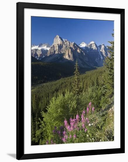 Wildflowers and Valley of 10 Peaks, Banff National Park, Alberta, Canada-Michele Falzone-Framed Photographic Print
