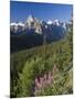 Wildflowers and Valley of 10 Peaks, Banff National Park, Alberta, Canada-Michele Falzone-Mounted Photographic Print