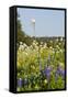 Wildflowers and Windmill in Texas Hill Country, Texas, USA-Larry Ditto-Framed Stretched Canvas