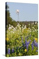 Wildflowers and Windmill in Texas Hill Country, Texas, USA-Larry Ditto-Stretched Canvas