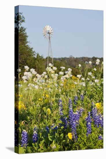 Wildflowers and Windmill in Texas Hill Country, Texas, USA-Larry Ditto-Stretched Canvas