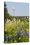 Wildflowers and Windmill in Texas Hill Country, Texas, USA-Larry Ditto-Stretched Canvas