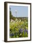 Wildflowers and Windmill in Texas Hill Country, Texas, USA-Larry Ditto-Framed Premium Photographic Print