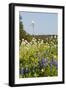 Wildflowers and Windmill in Texas Hill Country, Texas, USA-Larry Ditto-Framed Premium Photographic Print
