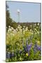 Wildflowers and Windmill in Texas Hill Country, Texas, USA-Larry Ditto-Mounted Premium Photographic Print