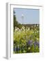 Wildflowers and Windmill in Texas Hill Country, Texas, USA-Larry Ditto-Framed Photographic Print