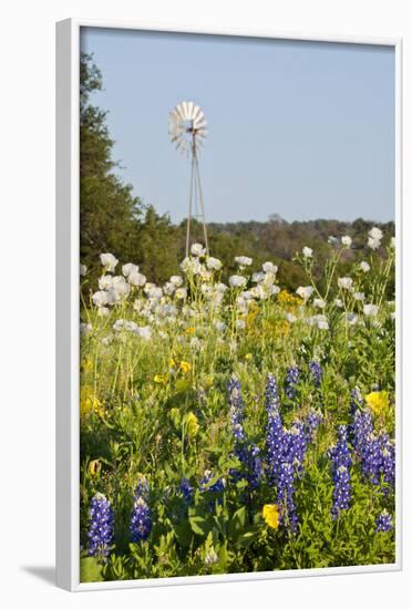 Wildflowers and Windmill in Texas Hill Country, Texas, USA-Larry Ditto-Framed Photographic Print