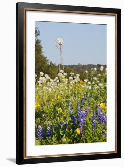 Wildflowers and Windmill in Texas Hill Country, Texas, USA-Larry Ditto-Framed Photographic Print
