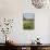 Wildflowers and Windmill in Texas Hill Country, Texas, USA-Larry Ditto-Mounted Photographic Print displayed on a wall