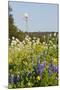 Wildflowers and Windmill in Texas Hill Country, Texas, USA-Larry Ditto-Mounted Photographic Print