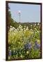 Wildflowers and Windmill in Texas Hill Country, Texas, USA-Larry Ditto-Framed Photographic Print