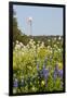 Wildflowers and Windmill in Texas Hill Country, Texas, USA-Larry Ditto-Framed Photographic Print