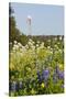 Wildflowers and Windmill in Texas Hill Country, Texas, USA-Larry Ditto-Stretched Canvas