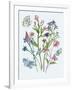 Wildflowers Arrangements I-Melissa Wang-Framed Art Print