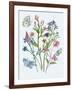 Wildflowers Arrangements I-Melissa Wang-Framed Art Print