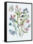 Wildflowers Arrangements I-Melissa Wang-Framed Stretched Canvas