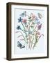 Wildflowers Arrangements III-Melissa Wang-Framed Art Print