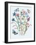 Wildflowers Arrangements III-Melissa Wang-Framed Art Print