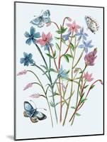 Wildflowers Arrangements III-Melissa Wang-Mounted Art Print