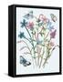 Wildflowers Arrangements III-Melissa Wang-Framed Stretched Canvas