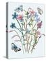 Wildflowers Arrangements III-Melissa Wang-Stretched Canvas
