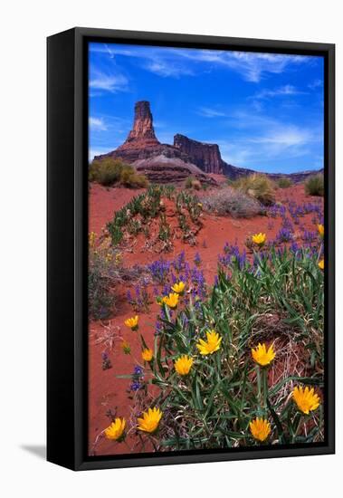 Wildflowers at Dead Horse Point-Paul Souders-Framed Stretched Canvas