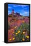 Wildflowers at Dead Horse Point-Paul Souders-Framed Stretched Canvas