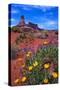 Wildflowers at Dead Horse Point-Paul Souders-Stretched Canvas