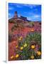 Wildflowers at Dead Horse Point-Paul Souders-Framed Premium Photographic Print