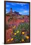 Wildflowers at Dead Horse Point-Paul Souders-Framed Premium Photographic Print